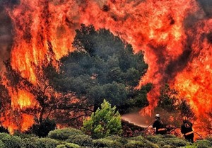 ۱۱۴ کشته و ۸۵۰ مفقود در فاجعه آتش‌سوزی هاوایی